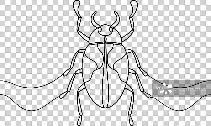 白色背景上的甲虫连续线条艺术图片素材