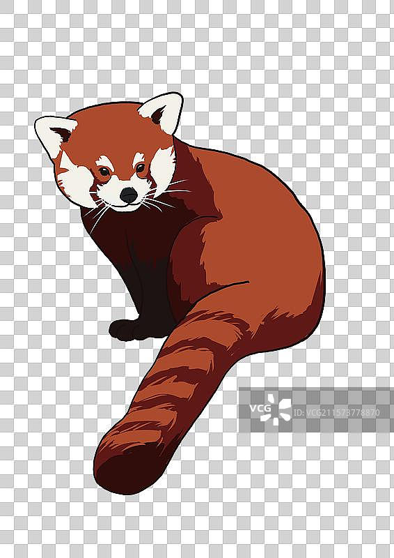 萌萌的小熊猫卡通写实形象免抠元素图片素材