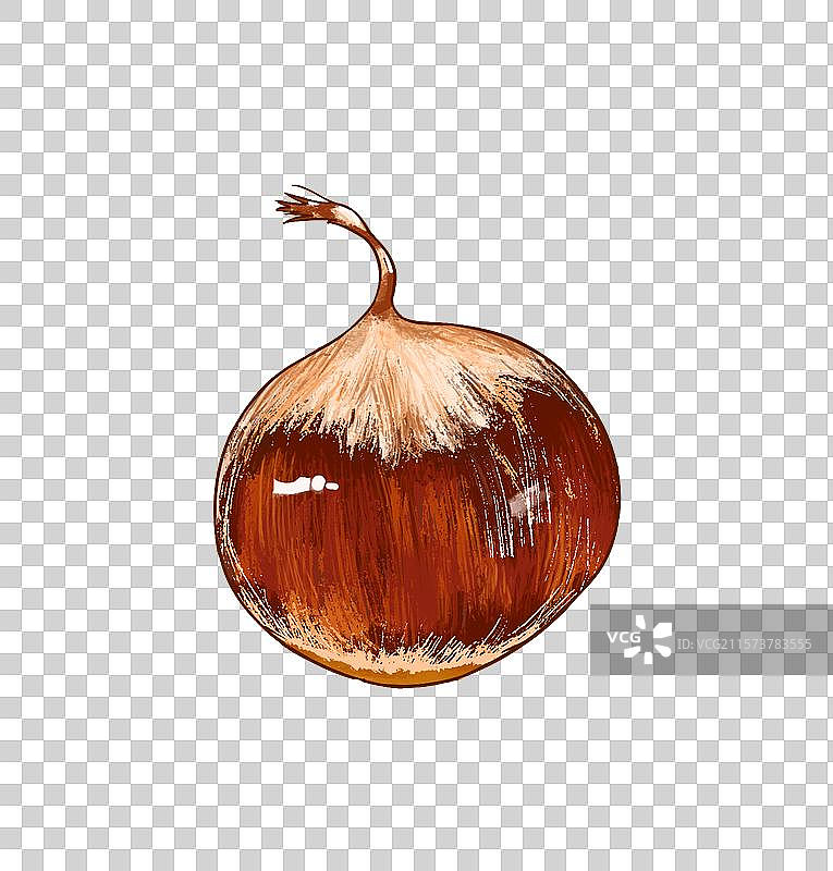 中秋节板栗插画免扣元素图片素材