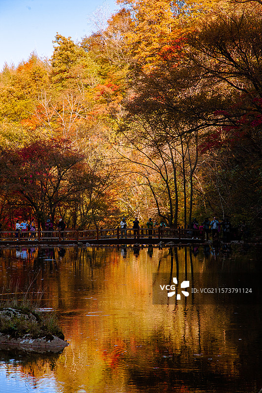 东北辽宁本溪大石湖枫叶图片素材