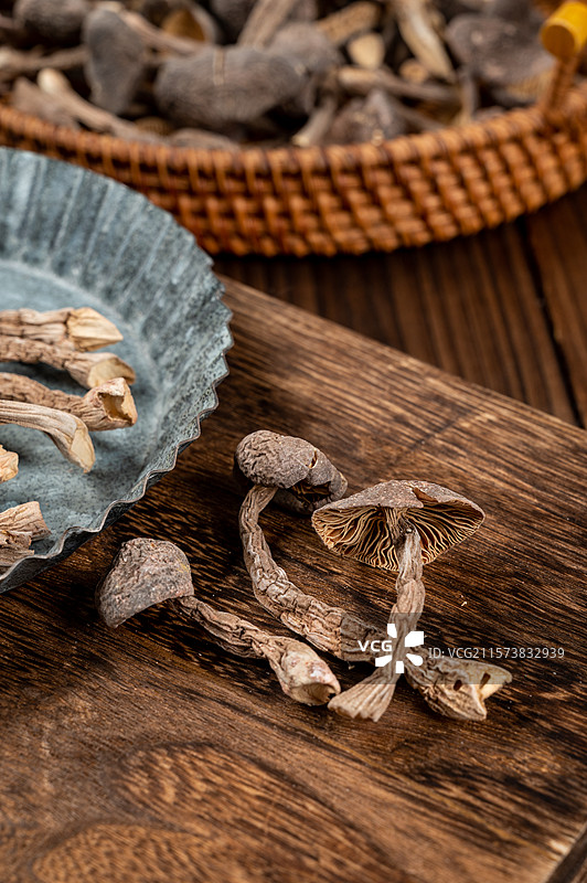 黑皮鸡枞菌图片素材