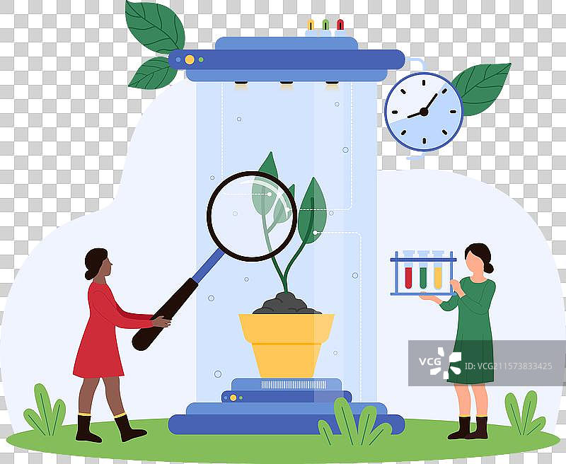 生物研究在实验室中培育植物图片素材