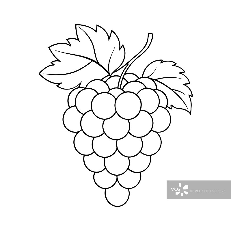 葡萄线条艺术图片素材