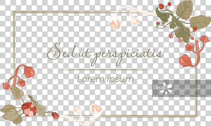 孤立的框架中盛开的室内植物图片素材