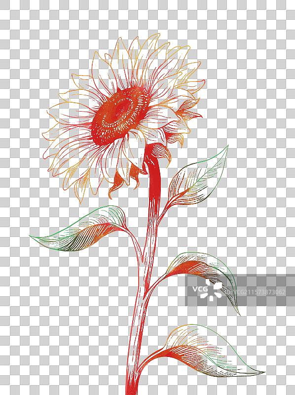 手绘版画风格向日葵免抠图片素材