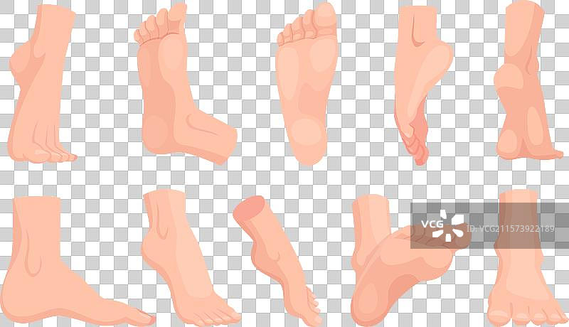 赤脚的人类脚部解剖结构图片素材