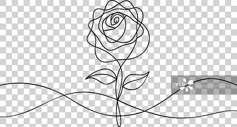 白色背景上的玫瑰花连续线条艺术图片素材