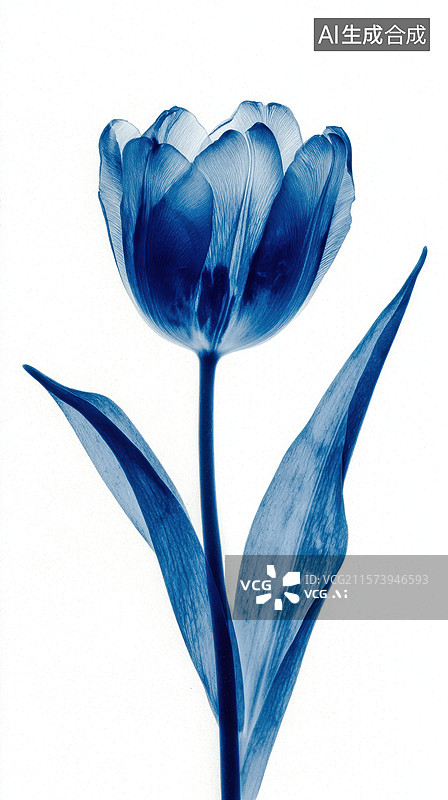 【AI数字艺术】蓝色透视郁金香图片素材