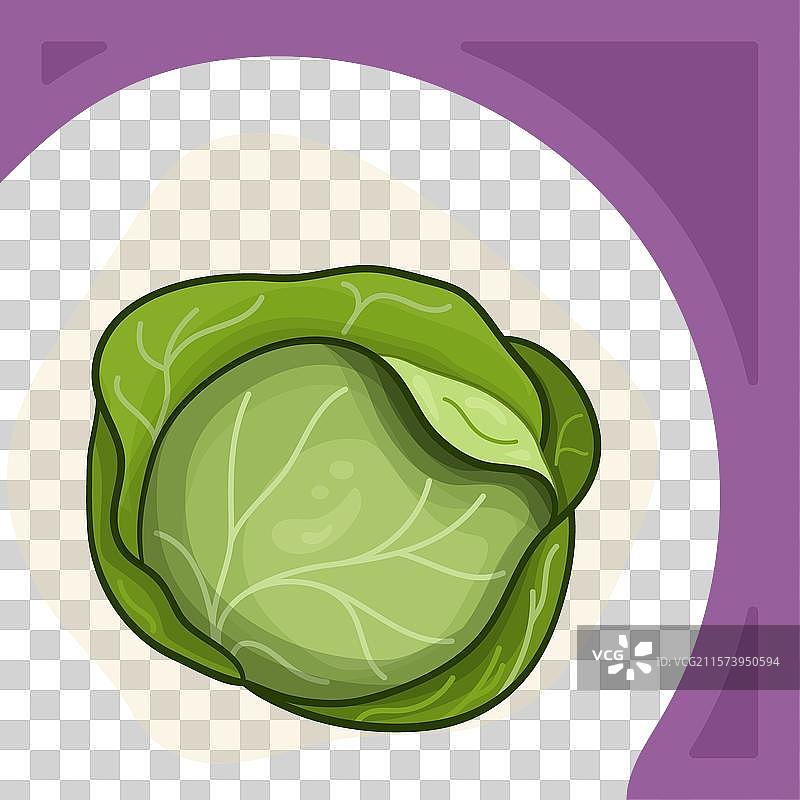 绿色卷心菜社交媒体方形模板图片素材