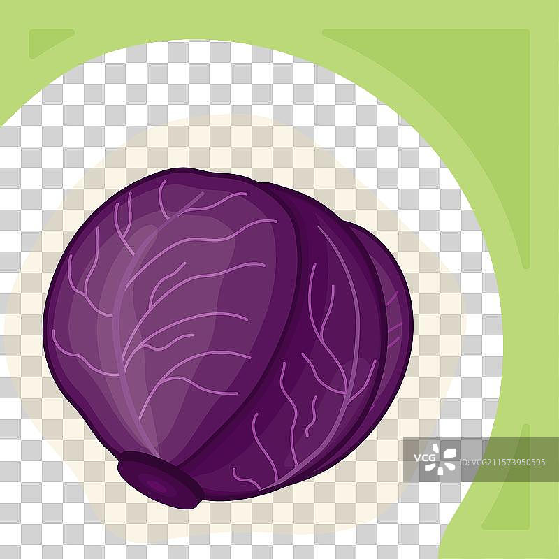 红色卷心菜方形社交媒体模板图片素材