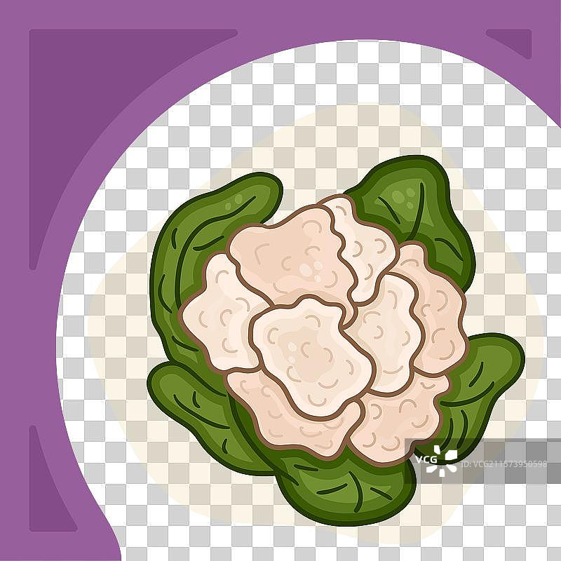 花椰菜方形模板用于社交媒体图片素材