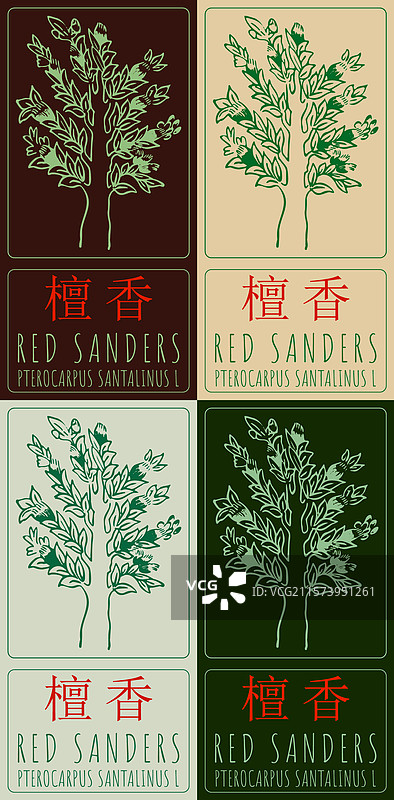 一组不同风格的红檀木绘画图片素材