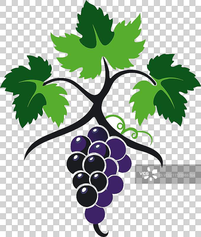 葡萄标志，包含葡萄和叶子图片素材