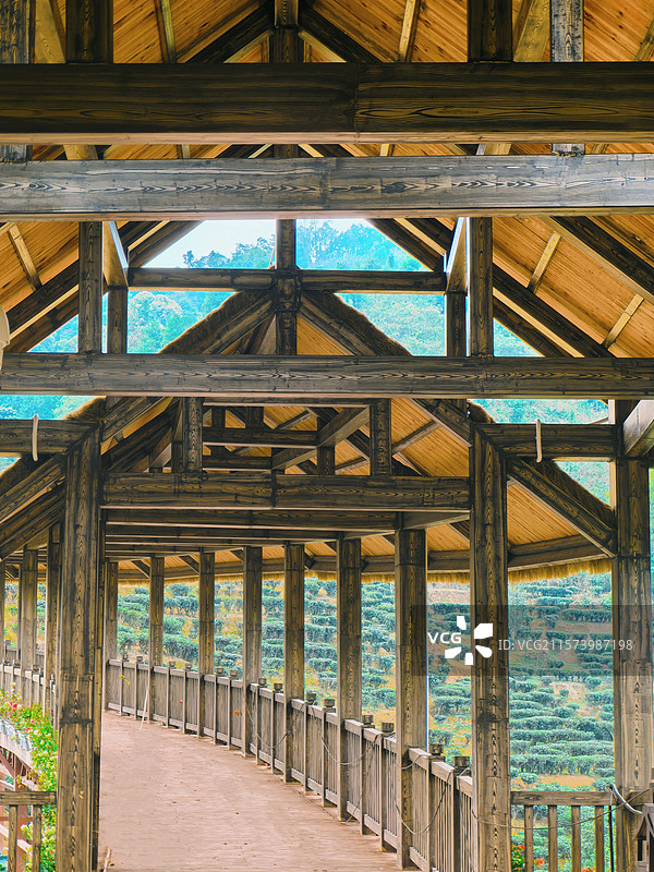 广西梧州苍梧县六堡茶生态旅游景区图片素材