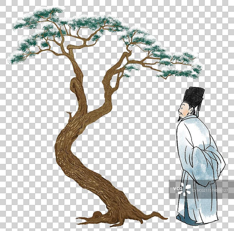 中国风新中式古风古典传统文化古装古人古时候老者老人观看雪松松树成语典故插画图片素材