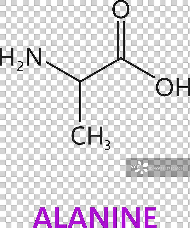丙氨酸氨基酸的化学分子结构图片素材
