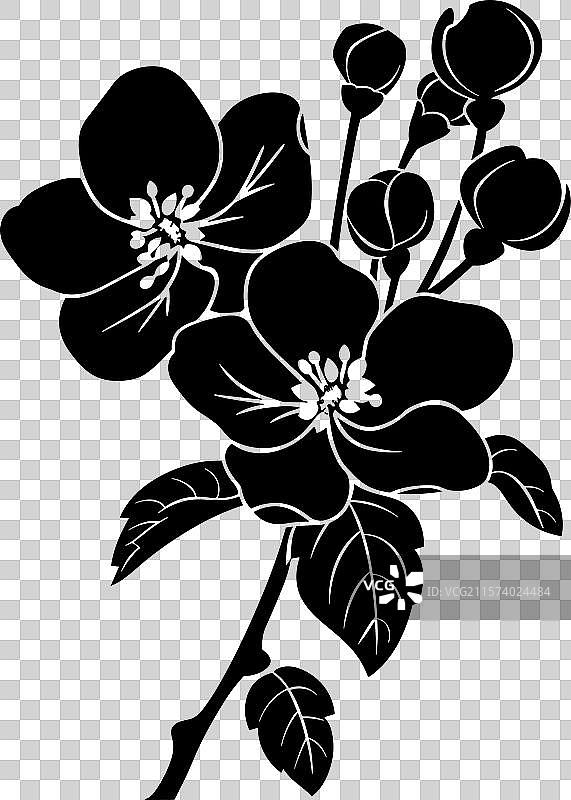 苹果花黑色剪影图片素材