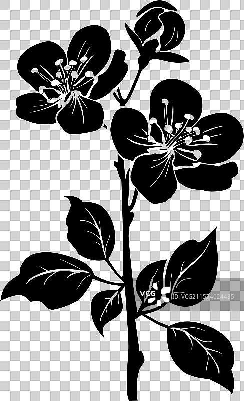 苹果花黑色剪影图片素材
