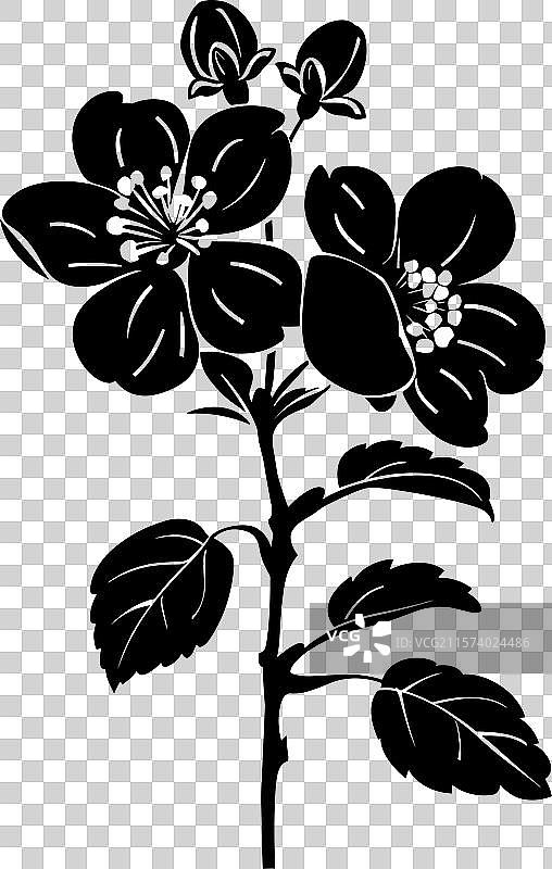 苹果花黑色剪影图片素材