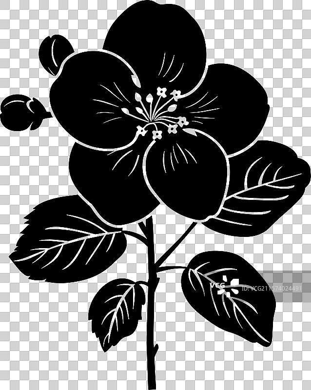 苹果花黑色剪影图片素材