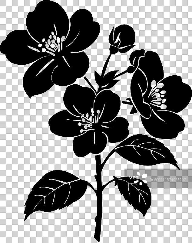 苹果花黑色剪影图片素材