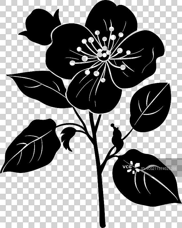苹果花黑色剪影图片素材