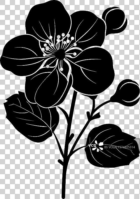 苹果花黑色剪影图片素材