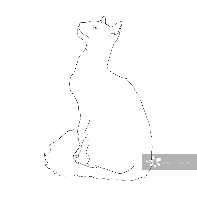 黑色的猫 1图片素材