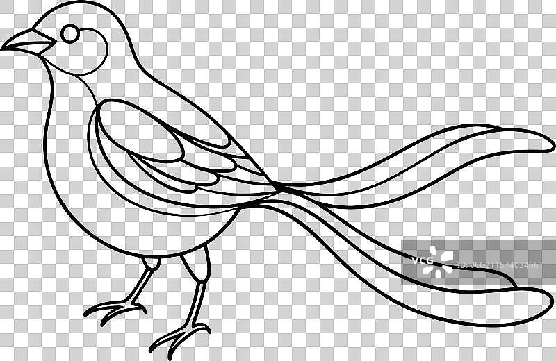 鸟的连续黑线艺术画在白色背景上图片素材