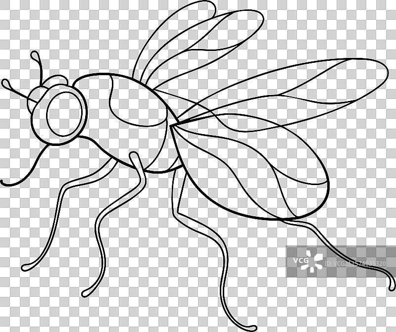 白色背景上的一笔连续线条飞行艺术图片素材