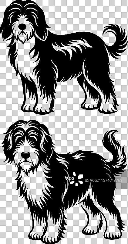 伯恩杜犬不同姿势的剪影设计图片素材