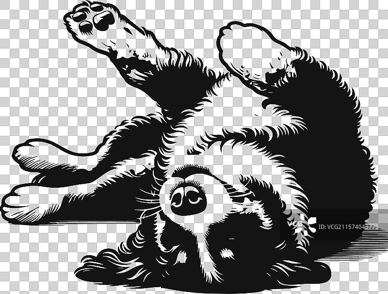 伯恩杜犬不同姿势的剪影设计图片素材