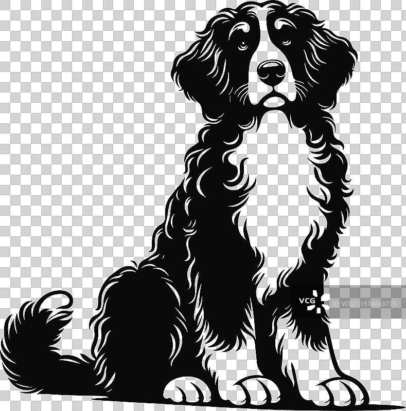 伯恩杜犬不同姿势的剪影设计图片素材