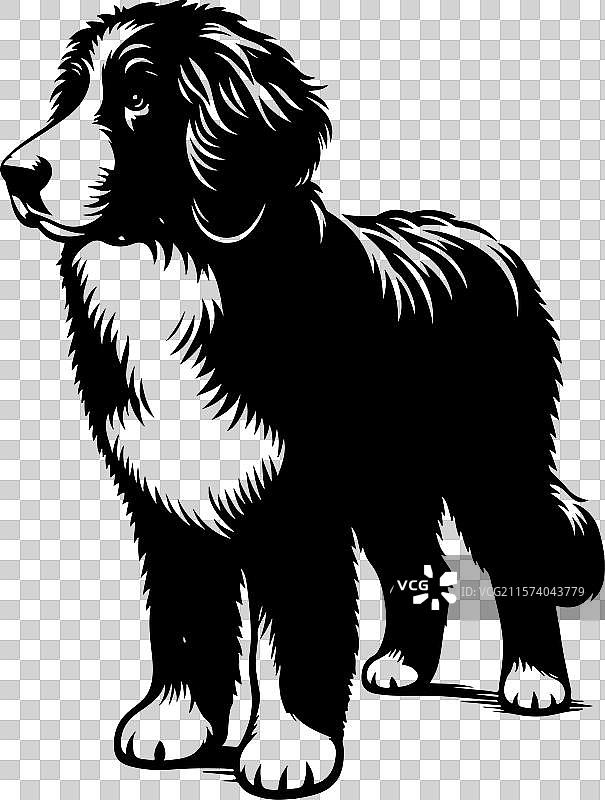 伯恩杜犬不同姿势的剪影设计图片素材