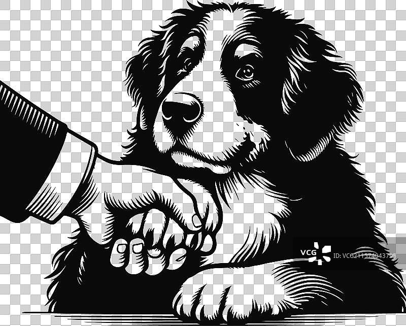 伯恩杜犬不同姿势的剪影设计图片素材
