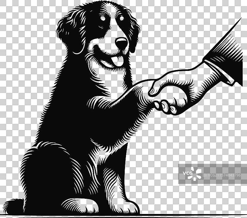 伯恩杜犬不同姿势的剪影设计图片素材