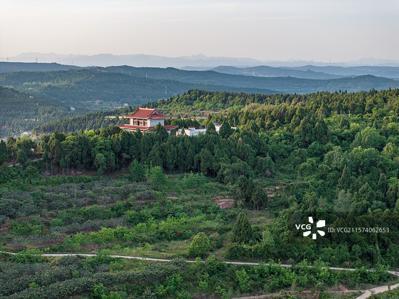 四川省广元市剑阁县开封镇航拍麦田图片图片素材