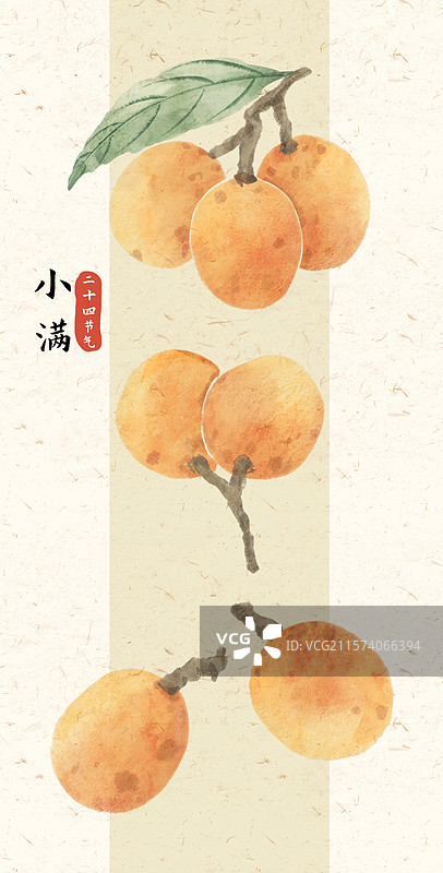 小满枇杷国风插画图片素材