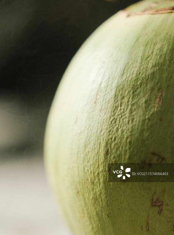 椰子椰壳的特写图片素材