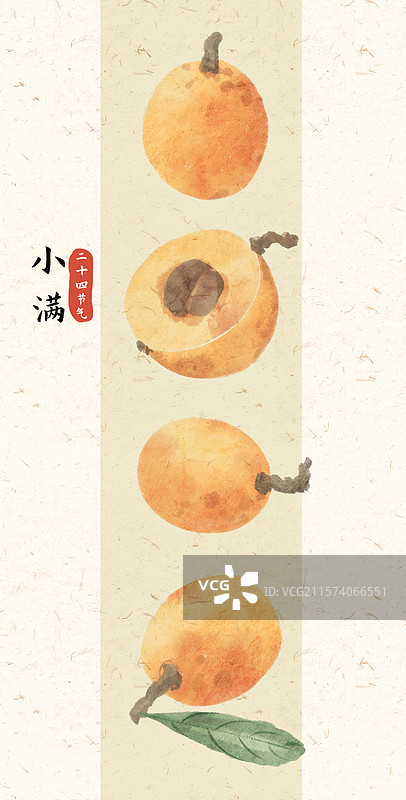 小满枇杷国风插画图片素材