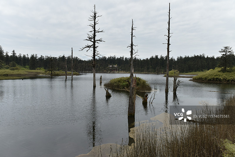 四川眉山瓦屋山夏季鸳鸯池风光图片素材