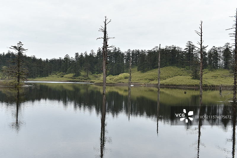 四川眉山瓦屋山夏季鸳鸯池风光图片素材