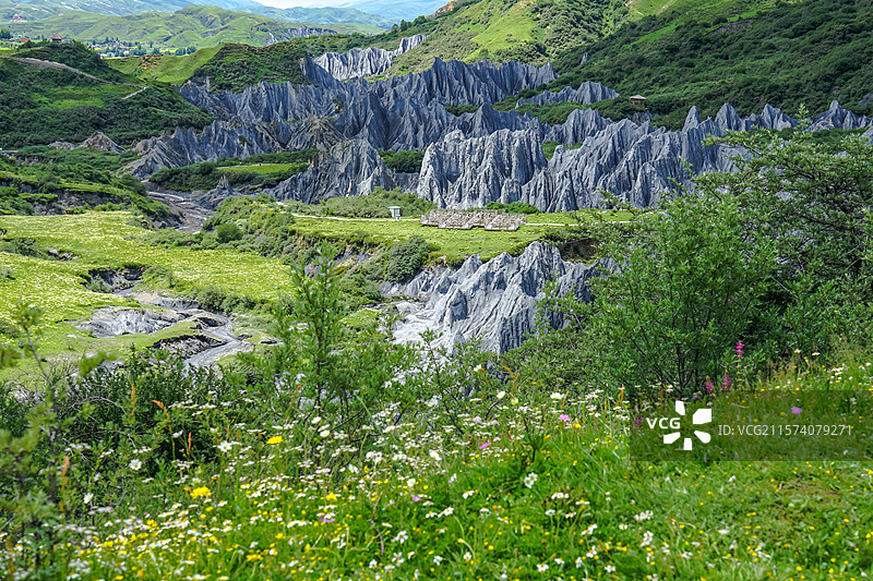 川西，墨石公园，石林与绿色草地景观图片素材