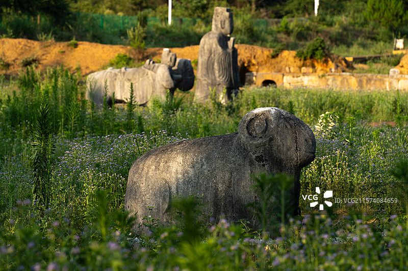 靖江悼僖王陵，靖江王陵国家考古遗址公园。图片素材