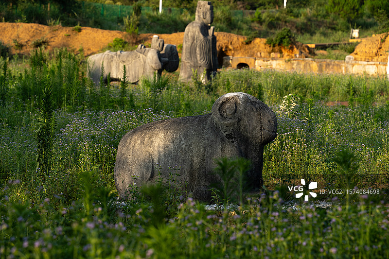 靖江悼僖王陵，靖江王陵国家考古遗址公园。图片素材