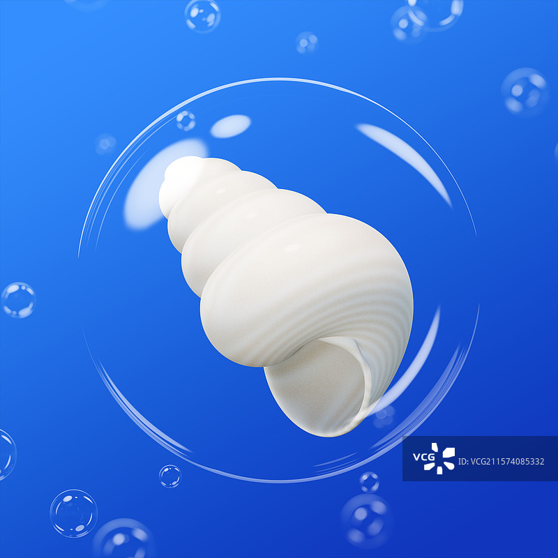 3D设计，夏天，海螺，自然图片素材