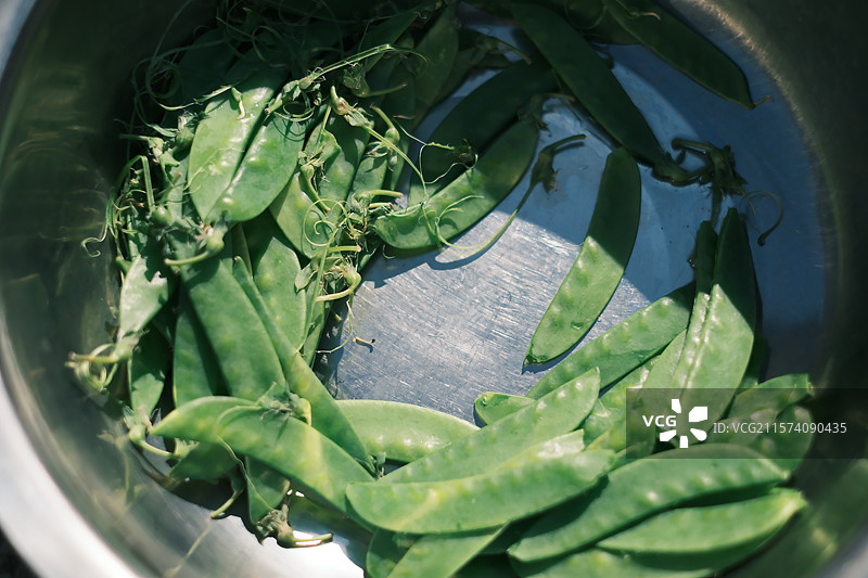 青嫩荷兰豆特写图片素材