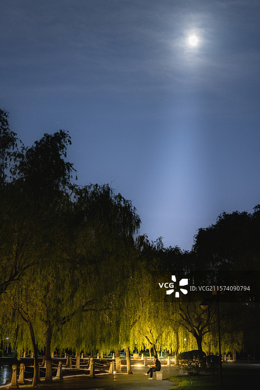 夜晚月光树与人图片素材