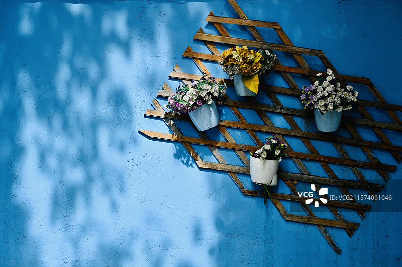 蓝色墙上盆栽植物的高角度视图图片素材