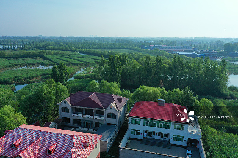 华北明珠鲜气升，荷花香艳鸟飞腾 生态乐园芦苇荡，碧水云天夏凉风 长廊凉亭船纵横，天然画卷游览胜图片素材